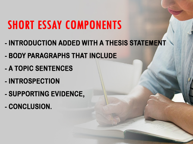 what is a essay in short