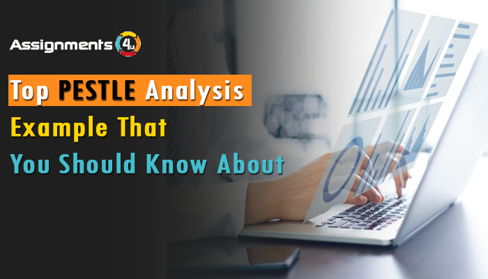 4 Top PESTLE Analysis Example For Your Review