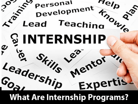 Explore 5 Key Differences Between Fellowship Vs Internship