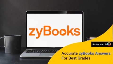 Best zyBooks Answers & Homework Help For Top-Grades