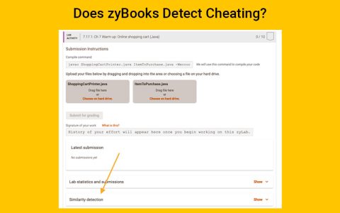 Best zyBooks Answers & Homework Help For Top-Grades