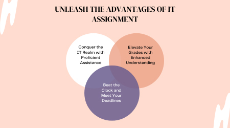 Unleash the Advantages of IT Assignment 