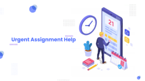 Urgent Assignment Help: Your Reliable Partner in Academic Success
