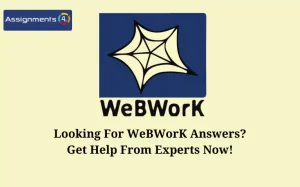 Image shows the WeBWorK logo and mentions how to get answers from experts.