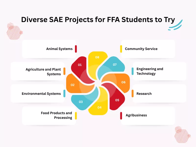 The image is highlighting diverse SAE project that can be used in sae project ideas<br />
