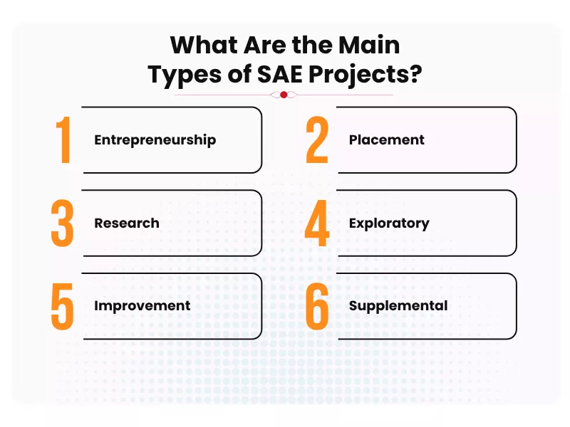 The image shows what are the main types of sae project ideas