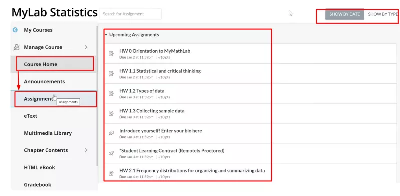 MyStatLab Assignments