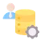 Skilled SQL experts